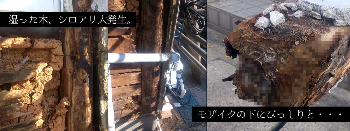 雨漏りによるモルタル外壁のひび割れとシロアリ被害前のベランダ支柱