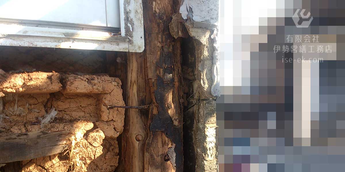 コンクリート壁の亀裂とシロアリ被害を伴う雨漏り修理