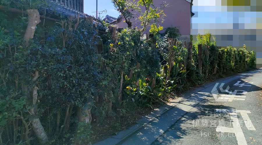 伐採が完了し、きれいに整えられた生垣