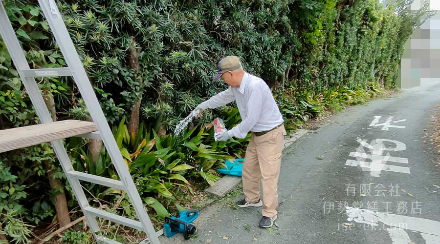 木を切る前にお清めの塩をまく様子