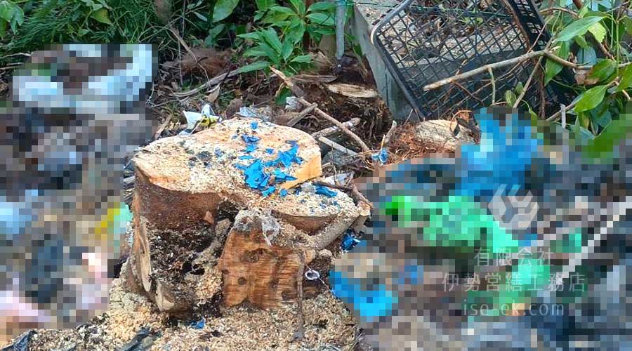 伐採が完了し、きれいに整えられた庭