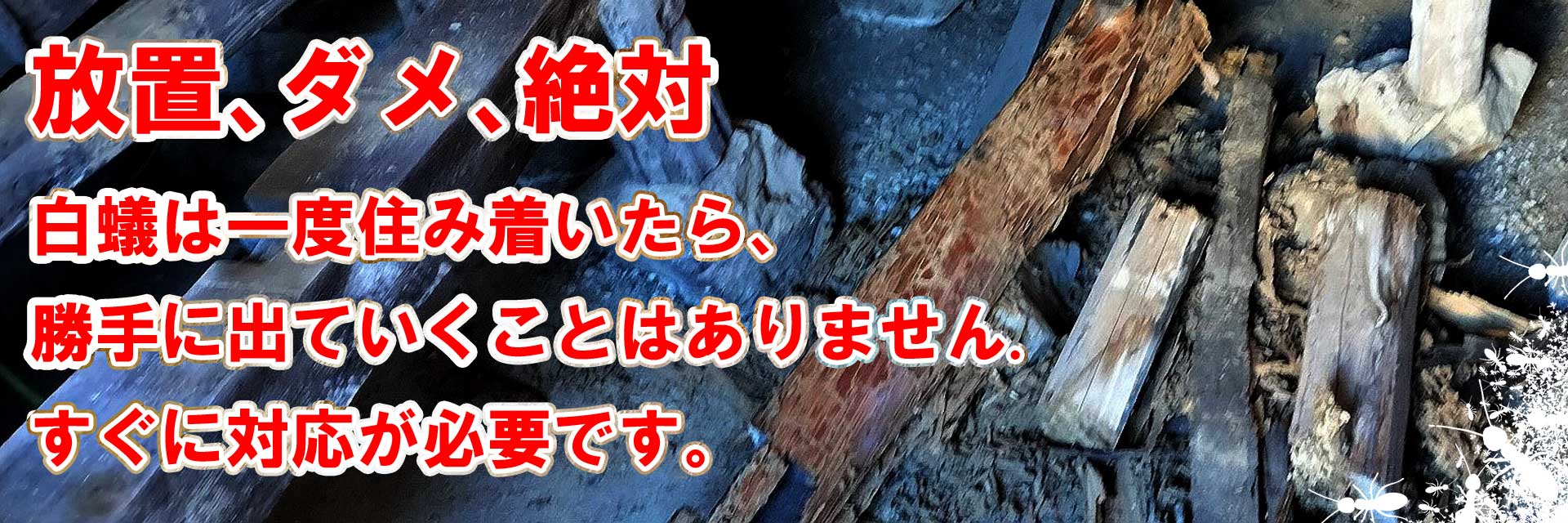 白蟻で食い尽くされた床の修理はお任せください。