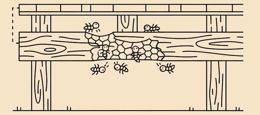 シロアリ被害の画像
