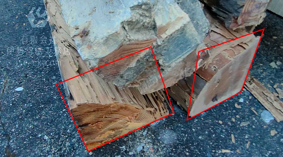 内部をシロアリに食い尽くされ、空洞になった床束