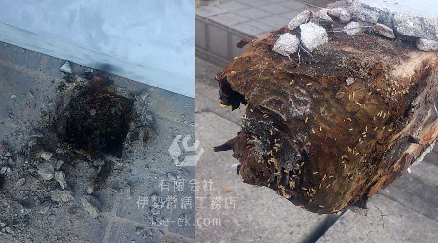 二階ベランダの根本をシロアリに完全に食われた柱